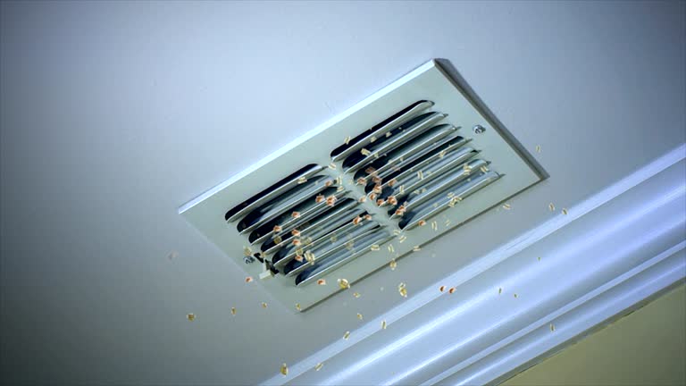 Best Ventilation Cleaning Services  in Terre Haute, IN