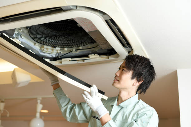 Best Ductwork Cleaning Services  in Terre Haute, IN