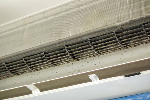 Best Air Duct Cleaning Near Me  in Terre Haute, IN